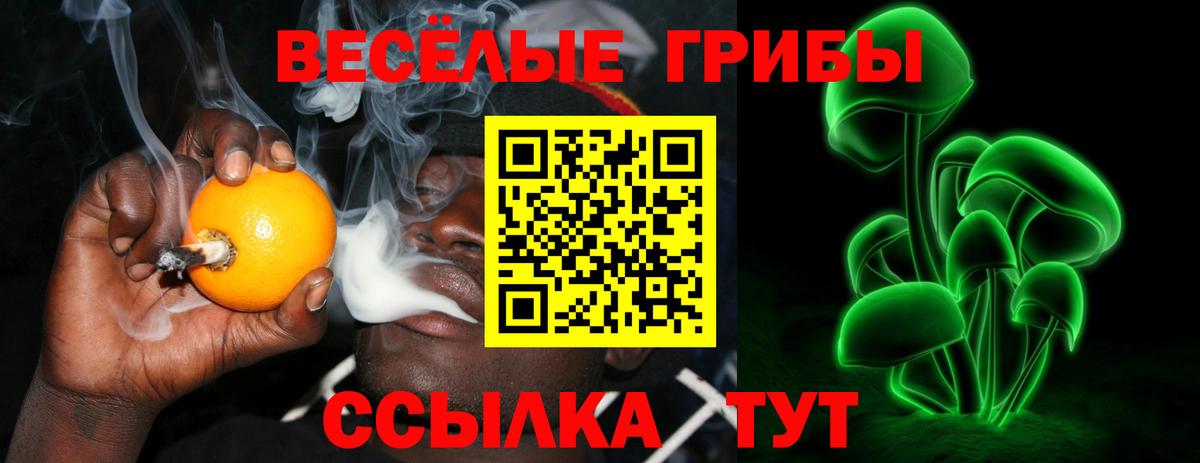 Галлюциногенные грибы прущие грибы  цена   Россошь  Вход с VPN 